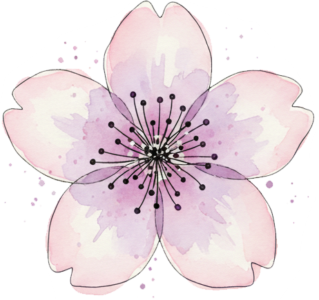 Bloomha – Beauty, Skincare & Wellness Essentials